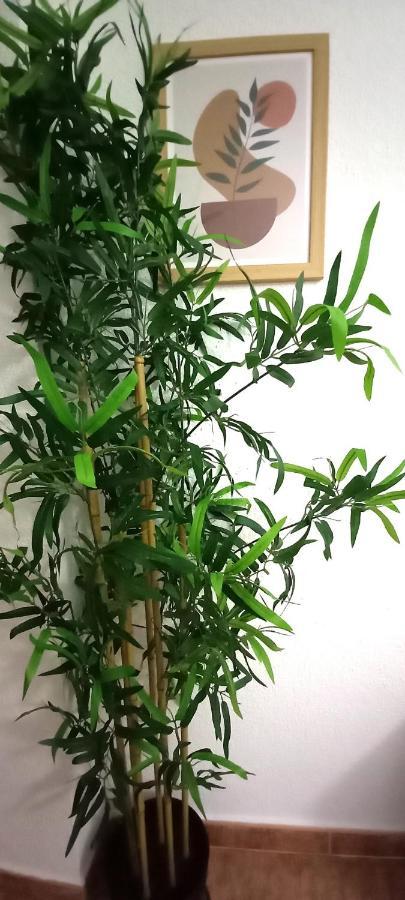 Centrico Apartamento En Cordoba By Bebalmy 外观 照片
